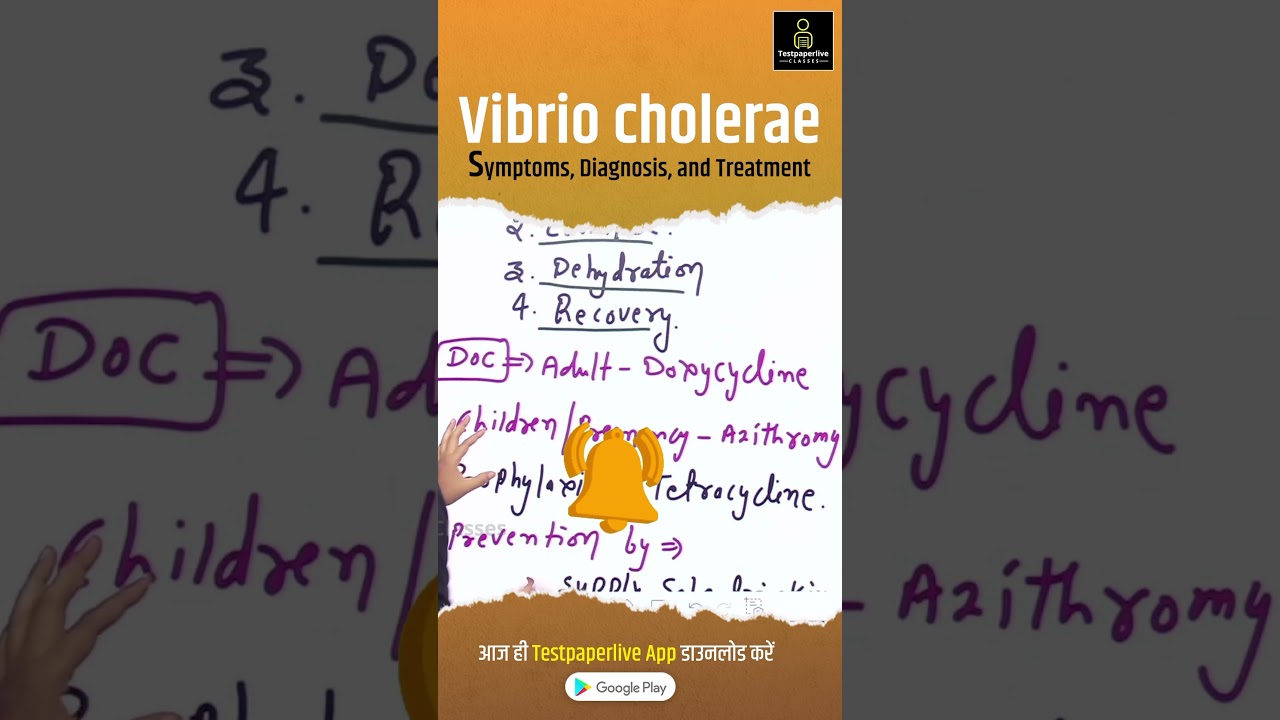 Cholera (Vibrio Cholerae), Risk, Symptoms, Diagnosis, Treatment #cholera #testpaperlive #vibrio