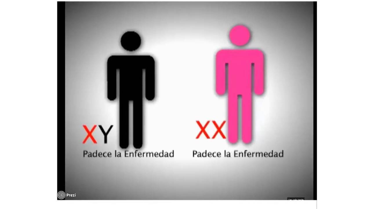 Jorge Lozano Valdivia-18