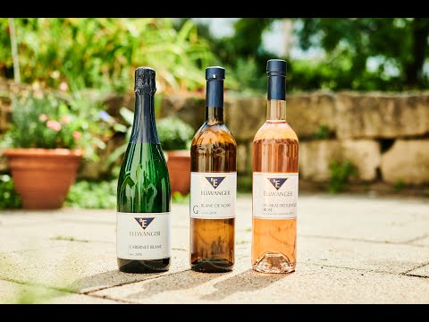 Ellwangers 7. Online-Weinprobe mit Top-Sommelier Evangelos Pattas und Sven Ellwanger