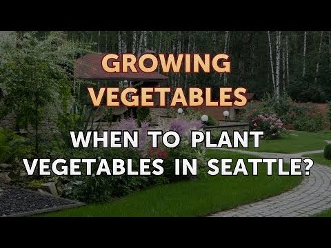 When to Pick Hungarian Hot Wax Peppers