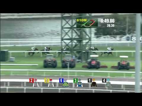 2015 Group 1 Champions Mile - Able Friend