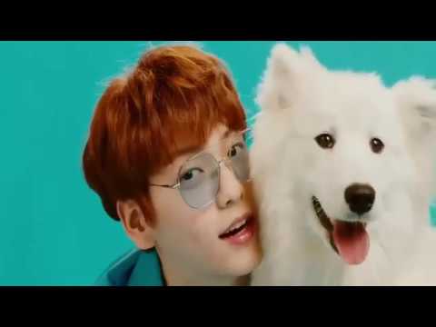 Meow And Woof - DK Version(s)