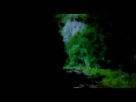 Trenuri în județul Bihor / Trains in Bihor county ( 01.07.2012 & 02.06.2013 )