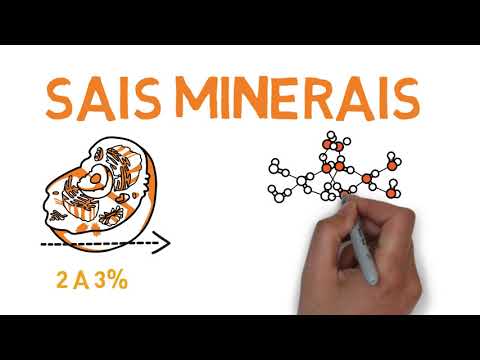 Componentes químicos da célula