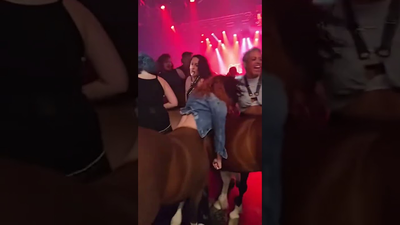 Centaur mosh pit Thumbnail
