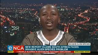 South Africa is being threatened by invasive alien species.