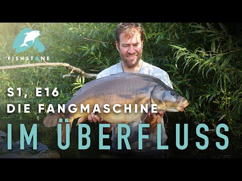 FISHSTONE's Angelwelten S1E16 - IM ÜBERFLUSS Fleiß zahlt sich aus
