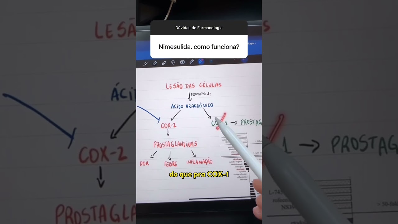 NIMESULIDA - como funciona 💊