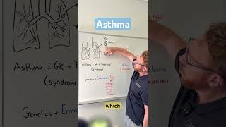 Asthma explained in 2 mins!
