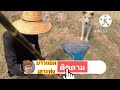 หวยดี