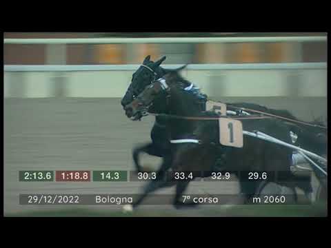 2022 12 29 | Corsa 7 | Metri 2060 | Premio Alberto Tomba - Tris Quarte' Quinte'