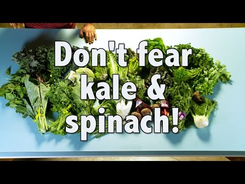 download lagu mp3 mp4 Purple And Green Leafy Vegetable, download lagu Purple And Green Leafy Vegetable gratis, unduh video klip Purple And Green Leafy Vegetable