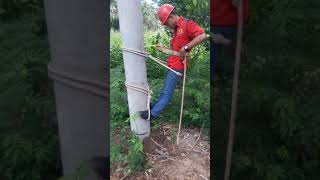 Download lagu Cara Memancat tiang listrik pakai tali pancat tanpa mengunakan tangga mp3