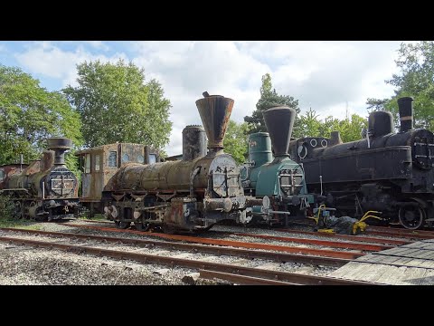 Parní vlaky, nejlepší záběry za rok 2019