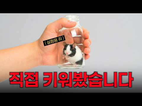 실험용 쥐의 파라다이스 구현 생태 사육장 비바리움 구축의 모든 것