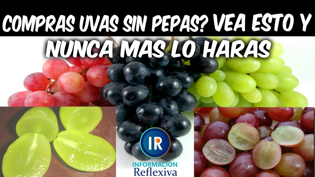 ¿Compras Uvas Sin Semillas o Pepas Después De Ver Esto Nunca Más Lo Harás!!!