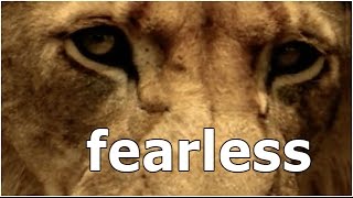 Fearless Fighter subliminal