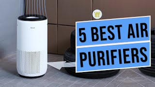 Best Air Purifiers 2025 | Top 5 Air Purifiers Review