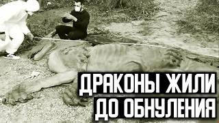 В Библии было написано о динозаврах ещё до их открытия. Драконы до Потопа.