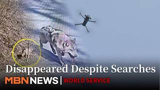 the Wolf Has Been Starving for Five Days ... Disappeared Despite Day and Night Searches