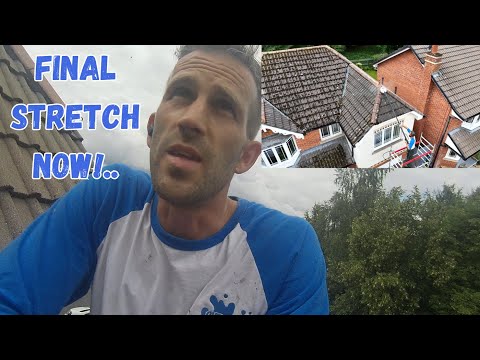 Roof Clean Admissions   What we Won't Often Share