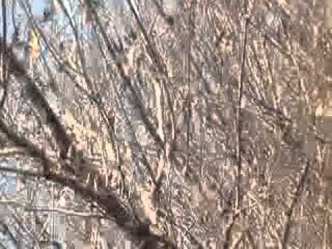 عناصر كتيبة الشيخ مطلق العتيبي تشتبك مع عناصر النظام في ريف دير الزور