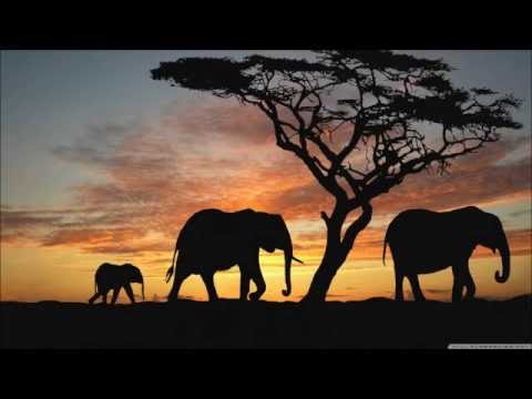 Dan Siegel- Savanna