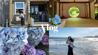 【Vlog】鎌倉vlog｜紫陽花💠｜明月院｜海🌺｜社会人の休日❕｜社会人Vlog