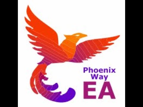 Video PhoenixWay