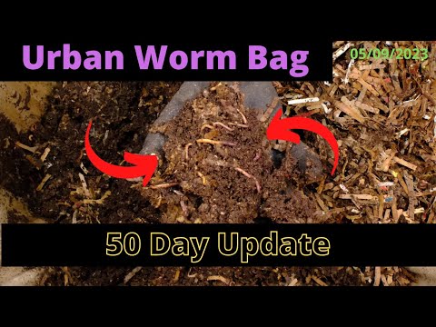 Urban Worm Bag V2 with ENCs - 50 Days Between Updates 05/09/2023
