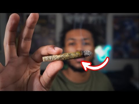 Best Head Shops