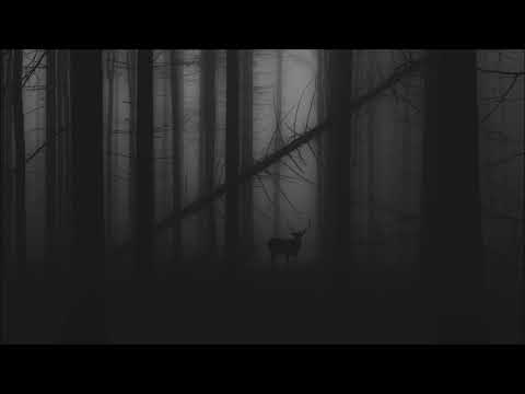 Sorrow - Through the night