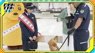 趣里、麻薬探知犬に感心「これは絶対に持ち込めない」　「一日羽田税関支署長イベント」に登場