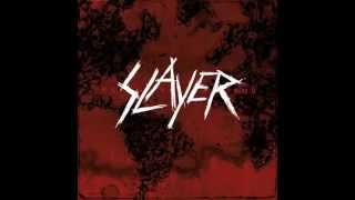 Slayer - Public Display Of Dismemberment (World Painted Blood Album) (Subtitulos Español)