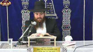 למה היו צריכים 8 ימים כדי לייצר שמן זית חדש? ¤ הרב עמרם יוסף ¤ כ"ח כסלו תשפ"ו (18.12.2025) (מוסדות תורת דוד) - התמונה מוצגת ישירות מתוך אתר האינטרנט יוטיוב. זכויות היוצרים בתמונה שייכות ליוצרה. קישור קרדיט למקור התוכן נמצא בתוך דף הסרטון