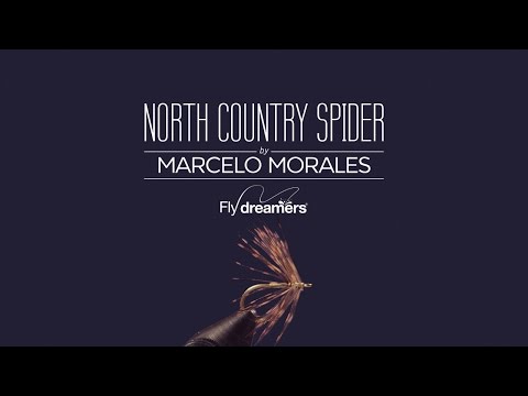 Atado: North Country Spider