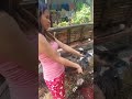 Killing Duck Sexy Girls