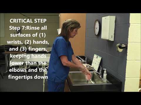 1 Hand Hygiene (Handwashing)