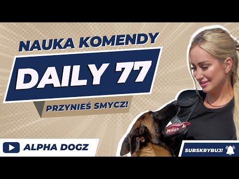 PRZYNIEŚ SMYCZ ! Nauka komendy. Daily 77. Alphadogz.pl