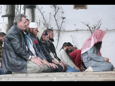 Zlatni savjeti šejha Jusufa rahimehullah, upućeni onima koji razum imaju