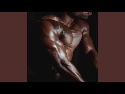 The Order of the Lion