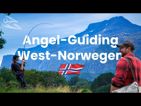 Guiding Angeln vom Ufer in Norwegen! Köhler, Makrelen, Pollacks, Lippfisch!