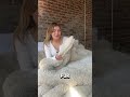 Lion Mane Comforter Funny Bedding Bedroomdecor