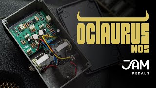 Video thumbnail for JAM pedals Octaurus NOS | played by Charlie Allen by JAM pedals