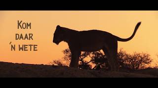 Jungu Josh Music Video
