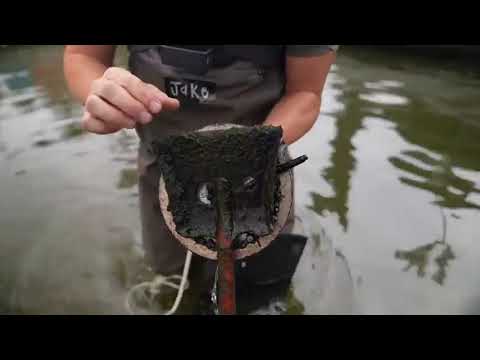 This Pond Holds a Terrible Secret!   Police Called Magnet Fishing ##### 6