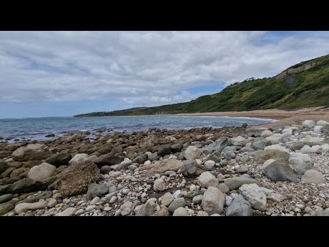 Doppelte Fossiliensuche von Osmington nach White Nothe und von Bowlease Cove nach Osmington