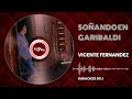 KARAOKE SOÑANDO EN GARIBALDI VICENTE FERNANDEZ