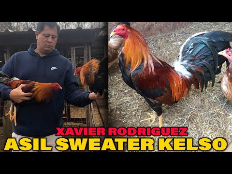 Xavier Rodriguez CHILANGOS FARM - Big Farm in Tennessee