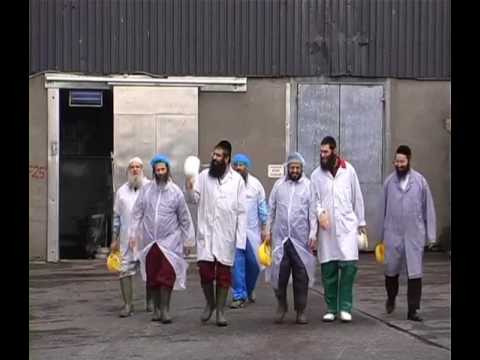 Shechita and Kashrut of meat 2 - 2